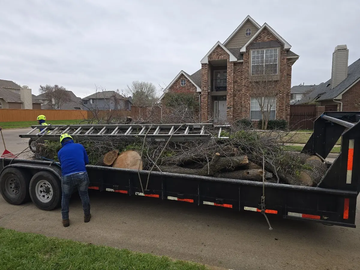 Expert Tree Fertilization with proper safety equipment in Little Rock